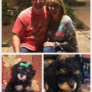 Meet your Posher, Lana